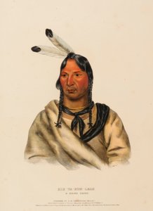ESH-TA-HUM-LEAH. Ein Sioux-Häuptling, aus der Geschichte der Indianerstämme Nordamerikas von Charles Bird King