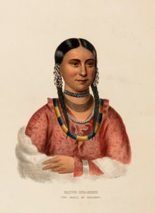 HAYNE-HUDJIHINI. DER ADLER DER FREUDE., aus Geschichte der Indianerstämme Nordamerikas
