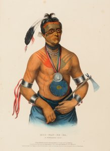 HOO-WAN-NE-KA, ein Winnebago-Häuptling, aus Geschichte der Indianerstämme Nordamerikas