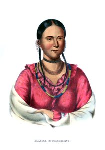 Hayne Hudjihini, oder Adler der Freude von Charles Bird King