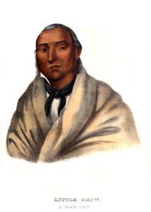 Little Crow, ein Sioux-Häuptling