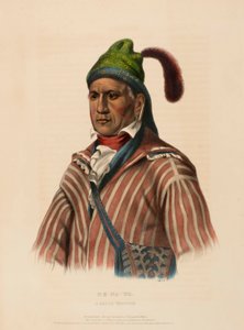 ME-NA-WA. Ein CREEK Krieger, aus der Geschichte der Indianerstämme Nordamerikas von Charles Bird King