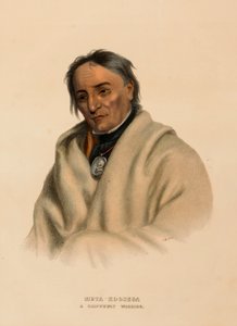META-KOOSEGA. Ein Chippewa-Krieger, aus der Geschichte der Indianerstämme Nordamerikas von Charles Bird King