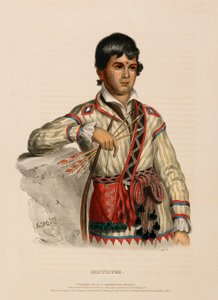 MISTIPPEE., aus Geschichte der Indianerstämme Nordamerikas von Charles Bird King