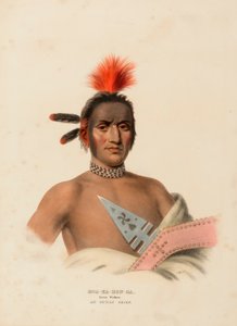 MOA-NA-HON-GA. GROSSER WANDERER. EIN IOWAY-HÄUPTLING., aus Geschichte der Indianerstämme Nordamerikas