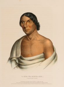 O-HYA-WA-MINCE-KEE, ein Chippewa-Häuptling, aus der Geschichte der Indianerstämme Nordamerikas von Charles Bird King