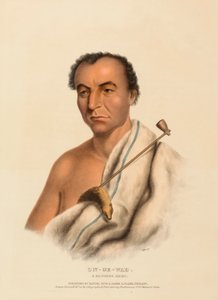 ON-GE-WAE. Ein Chippewa-Häuptling, aus der Geschichte der Indianerstämme Nordamerikas von Charles Bird King