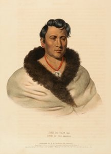 ONG PA TON GA. HÄUPTLING DER OMAHAS., aus Geschichte der Indianerstämme Nordamerikas