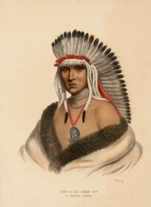 PET-A-LE-SHAR-RO. Ein Pawnee-Krieger, aus Geschichte der Indianerstämme Nordamerikas