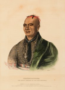 THAYENDANEGEA. DER GROSSE KAPITÄN der SECHS NATIONEN, aus Geschichte der Indianerstämme Nordamerikas von Charles Bird King