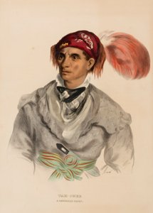 Tah-Chee (Dutch), ein Cherokee-Häuptling, aus der Geschichte der Indianerstämme Nordamerikas