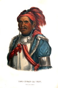 Tenskwautawaw, der Prophet