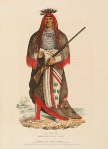 WA-NA-TA. GROSSER HÄUPTLING DER SIOUX, aus der Geschichte der Indianerstämme Nordamerikas von Charles Bird King