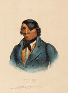 WAA-PA-SHAW. EIN SIOUX-HÄUPTLING, aus Geschichte der Indianerstämme Nordamerikas von Charles Bird King