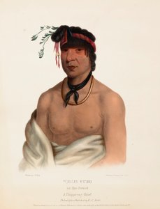 WESH-CUBB. Ein Chippewa-Häuptling, aus Geschichte der Indianerstämme Nordamerikas