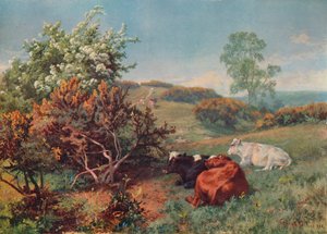Landschaft mit Vieh in The Nower, Dorking, um 1899 von Charles Collins