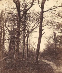 Winter, 1855