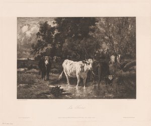 Landschaft mit Kühen am Waldrand von Charles Courtry