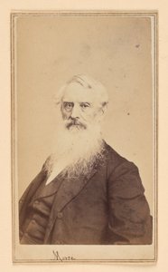 Samuel F. B. Morse von Charles DeForest Fredricks