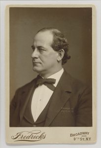 William Jennings Bryan von Charles DeForest Fredricks