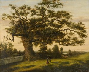 Die Charter Oak