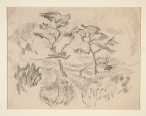 Landschaft (Bermuda oder Provincetown?) von Charles Demuth