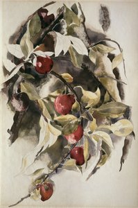 Pflaumen, 1925