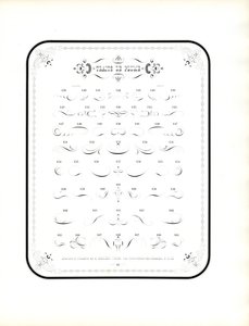 Kalligraphische Verzierungen und dekorative Elemente von Charles Derriey