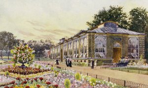 Londoner Zoo: Affenhaus