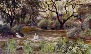 Londoner Zoo: Drei-Insel-Teich (Farblithografie)