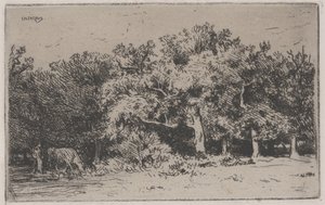 Eine Ecke des Waldes von Fontainebleau von Charles Emile Jacque