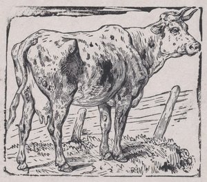 Eine Kuh, ca. 1853