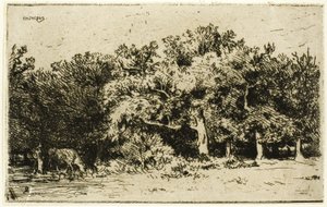 Ein Teil des Waldes von Fontainebleau von Charles Emile Jacque