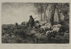 Eine Schweineherde