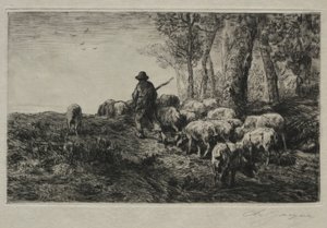 Eine Schweineherde