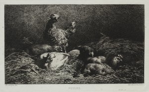 Hühner von Charles Emile Jacque