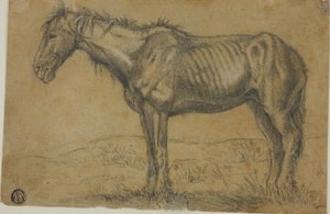 Abgemagertes Pferd (recto); Frontalansicht eines Pferdes (verso) von Charles Emile Jacque