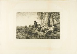 Schweineherde mit Schweinehirte