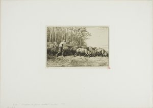 Schweineherde kommt aus einem Wald von Charles Emile Jacque