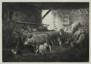 Inneres eines Schafgeheges