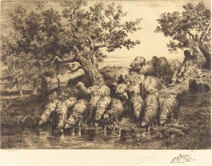 Schafe am Wasserplatz von Charles Emile Jacque
