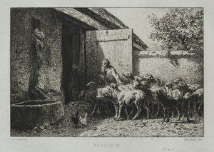 Schafstall