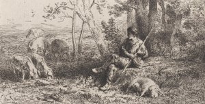 Kleine Schweineherde