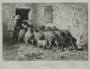 Die Rückkehr