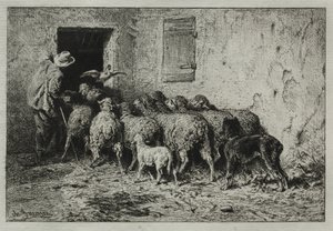 Die Rückkehr