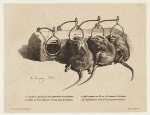Die Mausefalle von Charles Emile Jacque