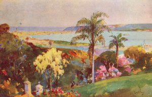 Der Hafen von Natal, Durban
