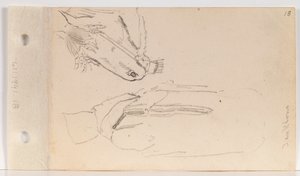 Studie eines Yankton-Indianers und eines Pferdes (Blatt 18 recto)