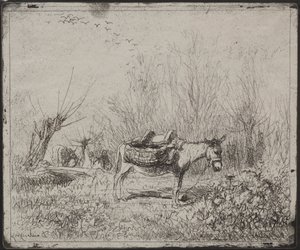 Ein Esel auf dem Feld, Originaldruck 1862, gedruckt 1921 von Charles Francois Daubigny