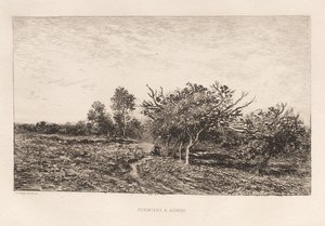 Apfelbäume in Auvers von Charles Francois Daubigny